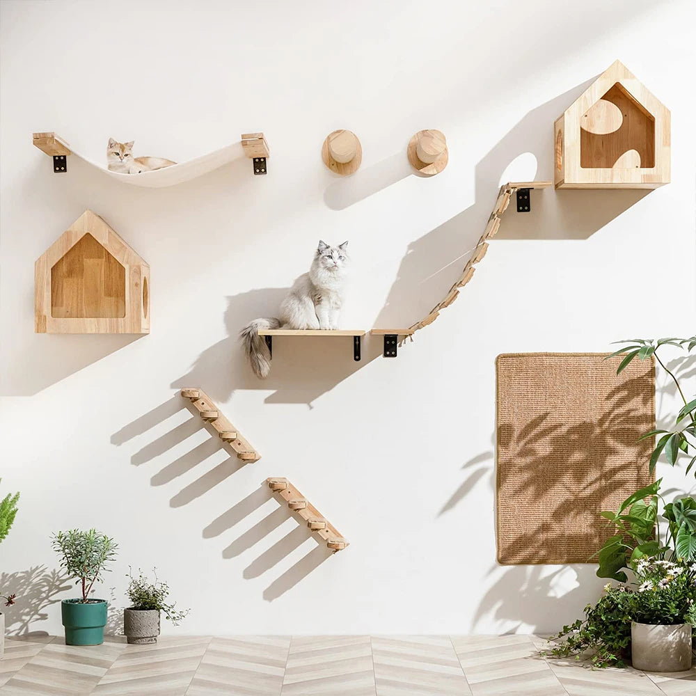 Neko Kabe Plus – Parcours mural complet pour chat