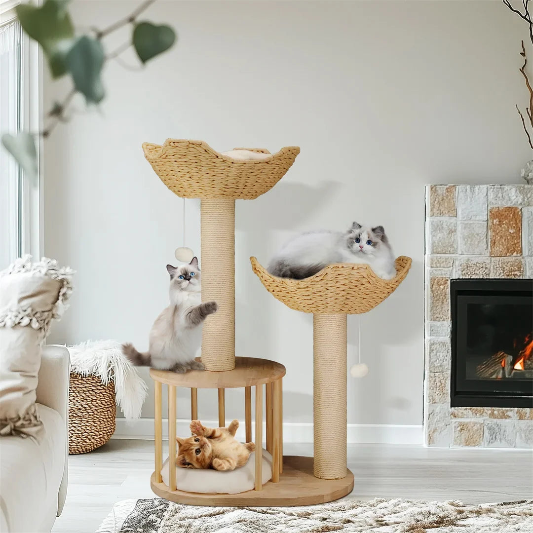 Neko Kiri dans un intérieur avec plusieurs chats