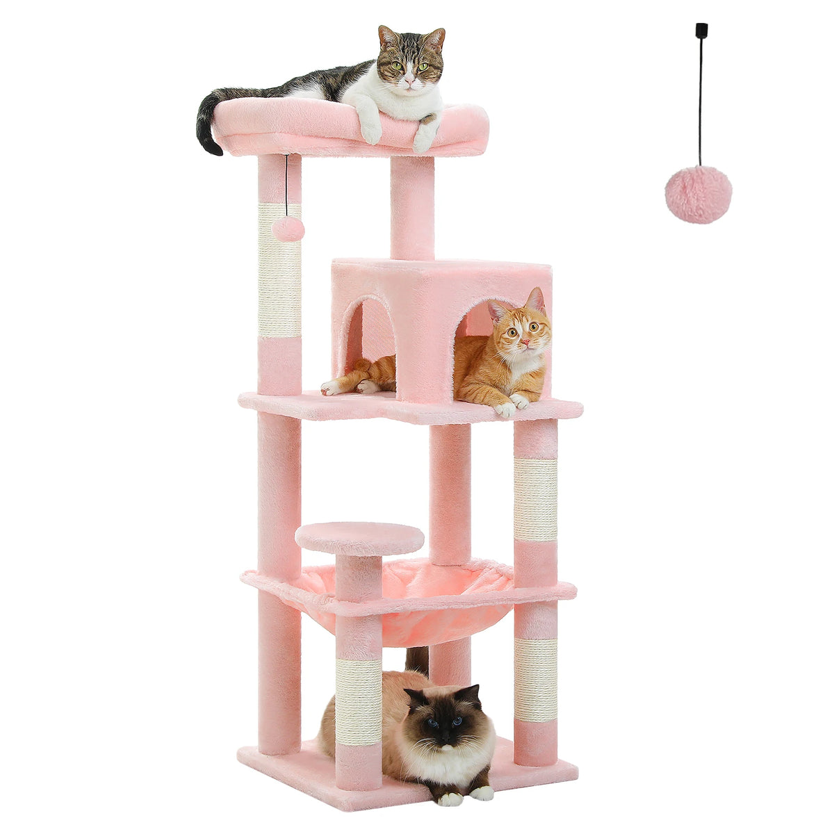 Neko Sora – Arbre à chat renforcé 5 niveaux – vue 9