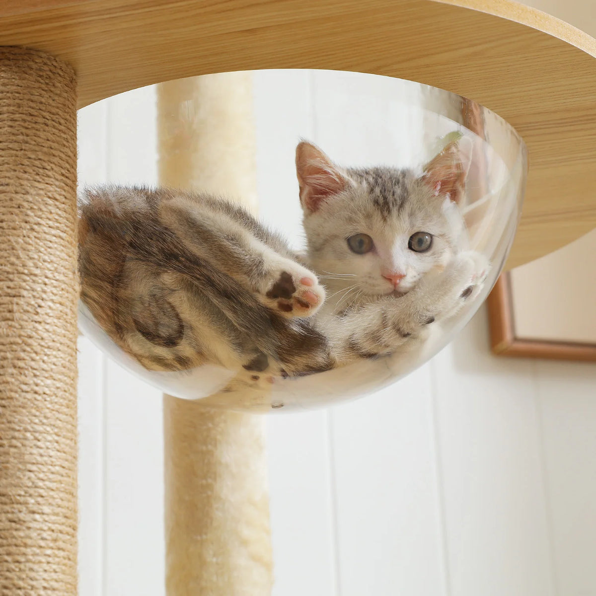 Neko Hayashi – Arbre à chat multi-niveaux 130 à 180 cm – vue produit 7
