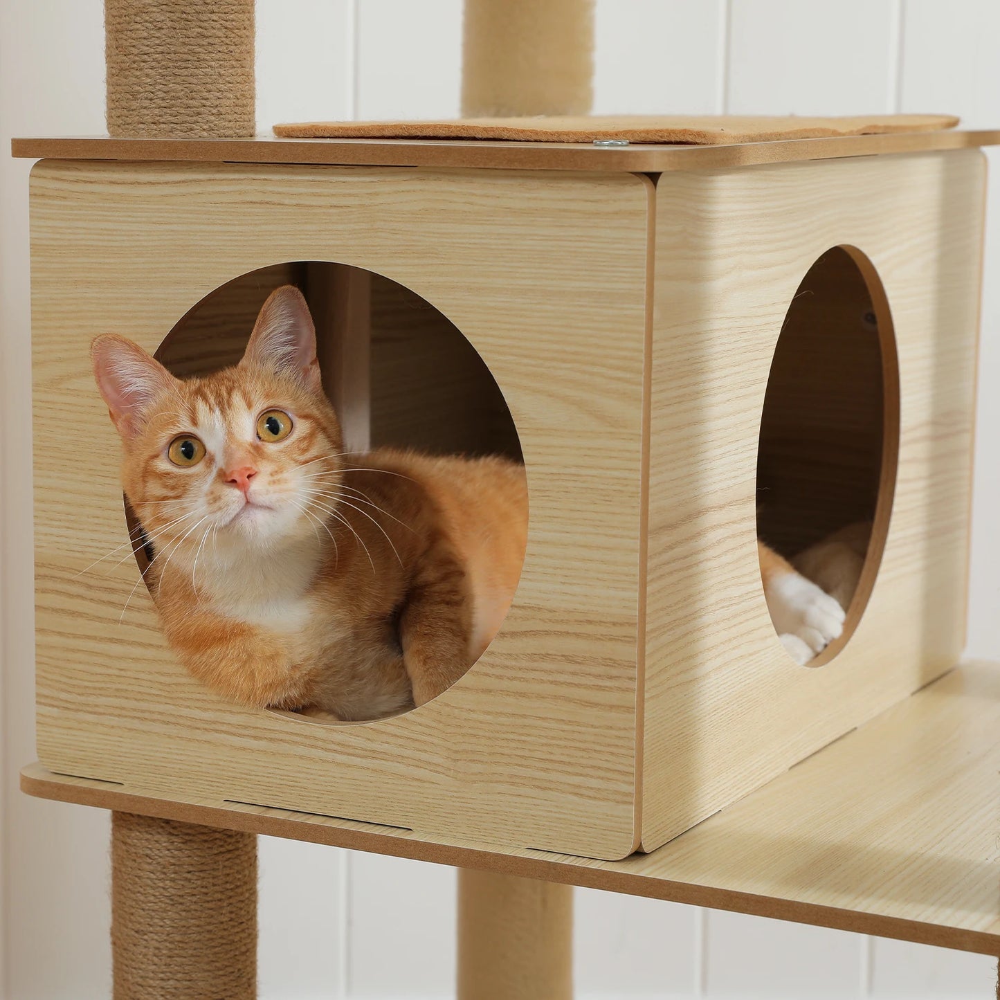 Neko Hayashi – Arbre à chat multi-niveaux 130 à 180 cm – vue produit 15