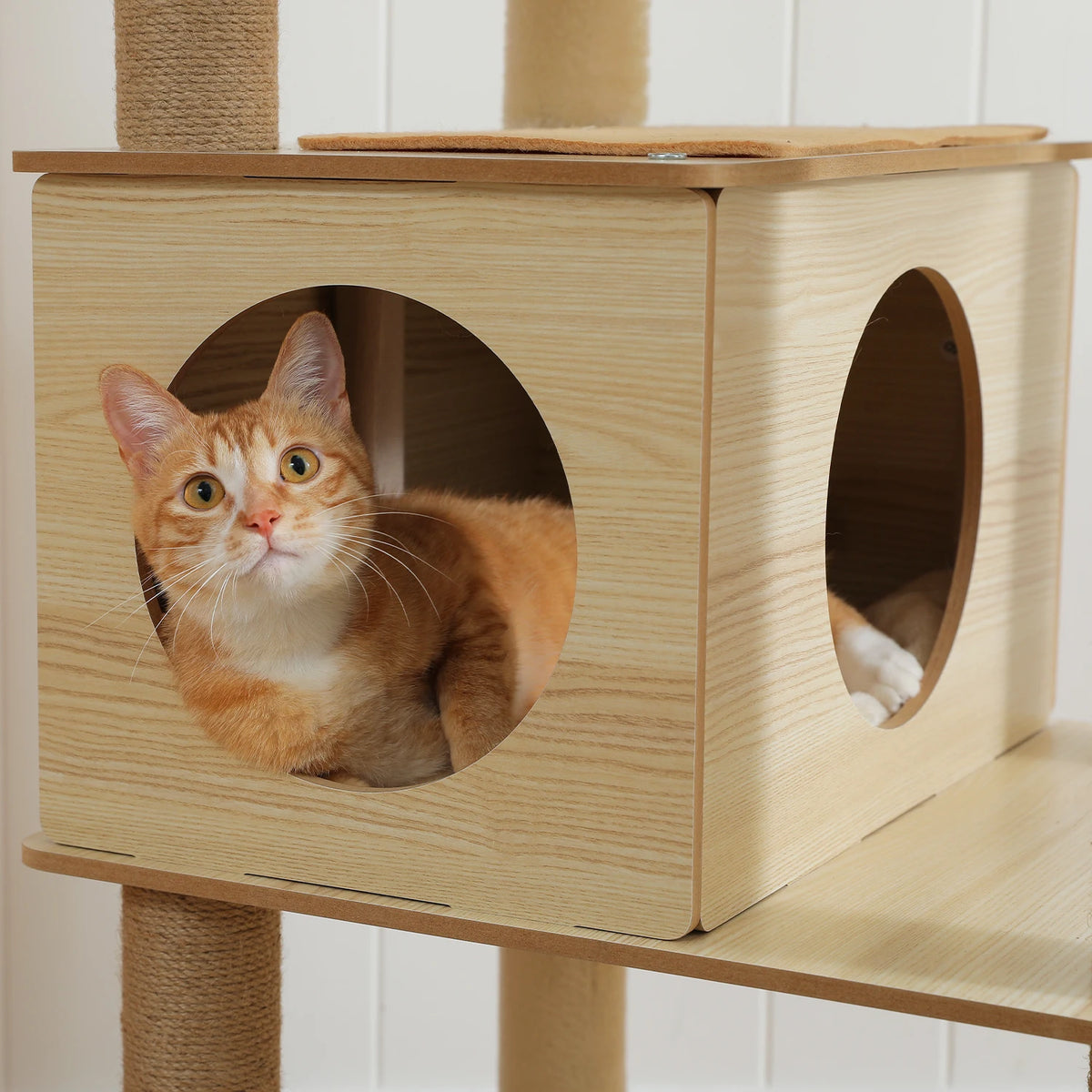 Neko Hayashi – Arbre à chat multi-niveaux 130 à 180 cm – vue produit 15