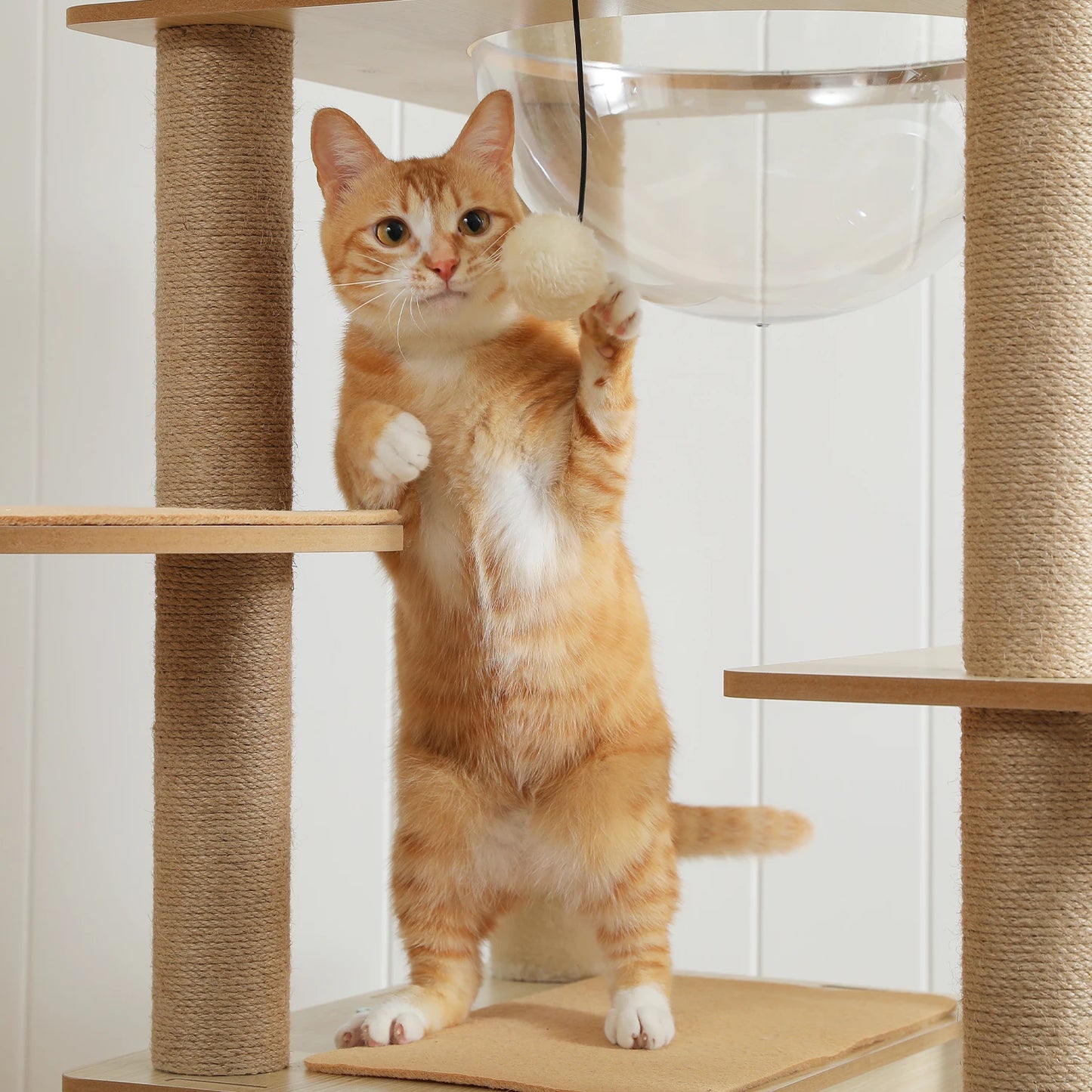 Neko Hayashi – Arbre à chat multi-niveaux 130 à 180 cm – vue produit 16