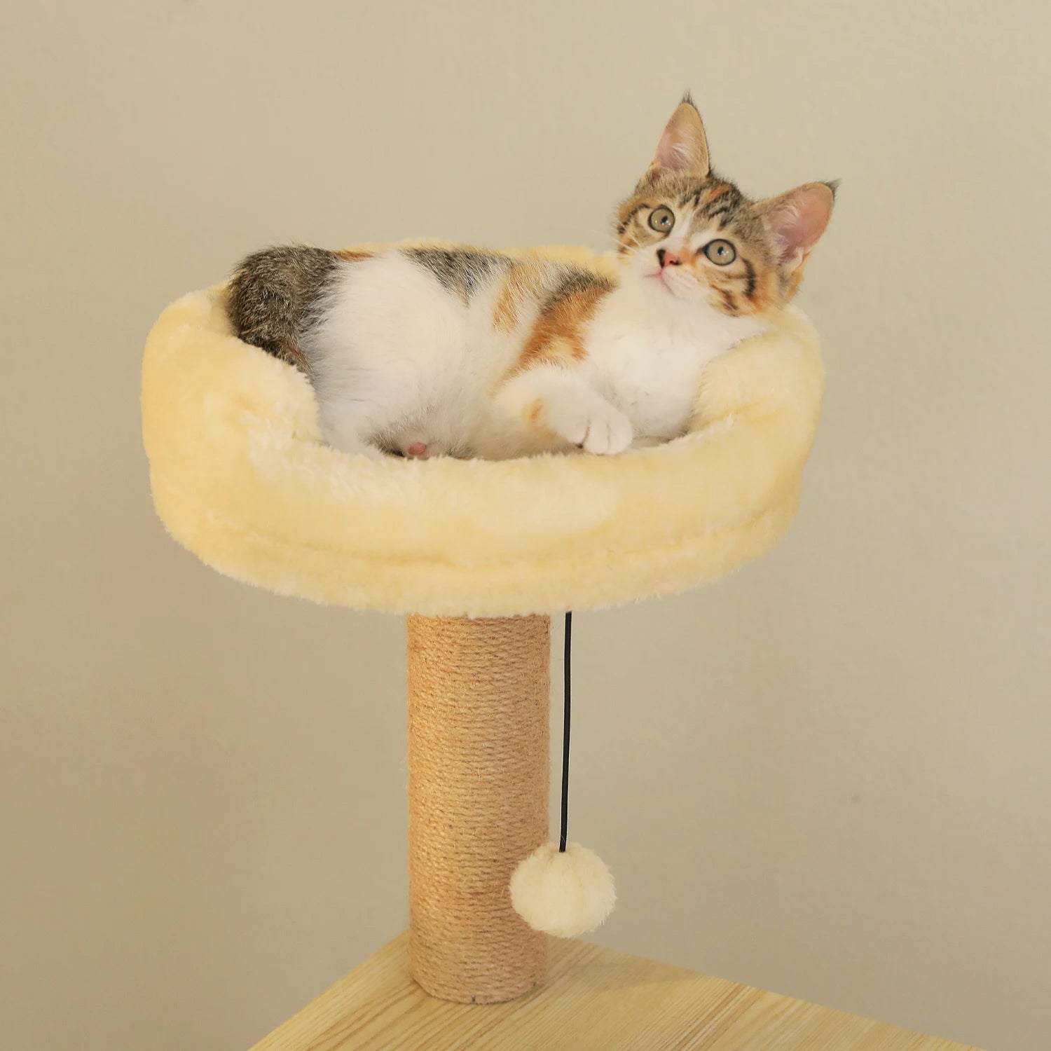 Neko Hayashi – Arbre à chat multi-niveaux 130 à 180 cm – vue produit 20