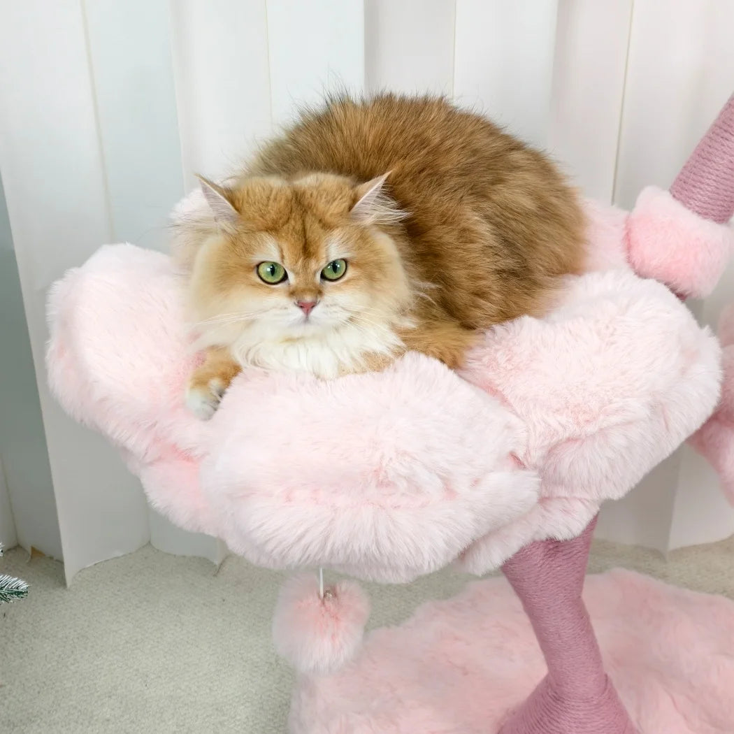 Neko Hanami – Arbre à chat fleuri – vue 5