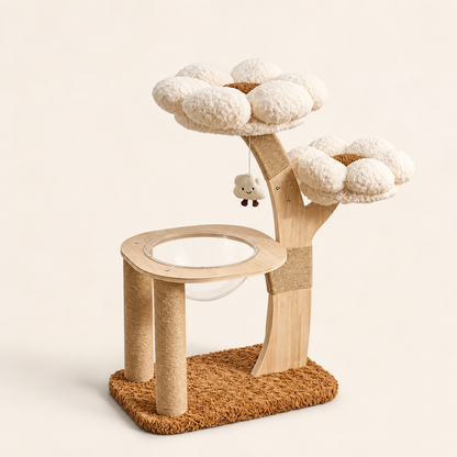 Neko Hanami – Capsule – Blanc – dimensions