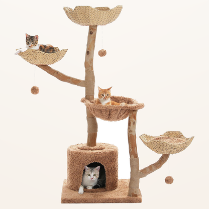 Neko Hana – Arbre à chat avec paniers tressés 150 cm – Modèle B – Brun – fond beige avec dimensions