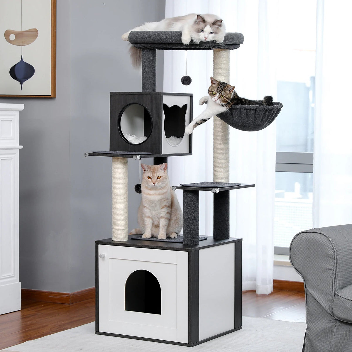 Neko Hayashi 144 cm — vue en situation