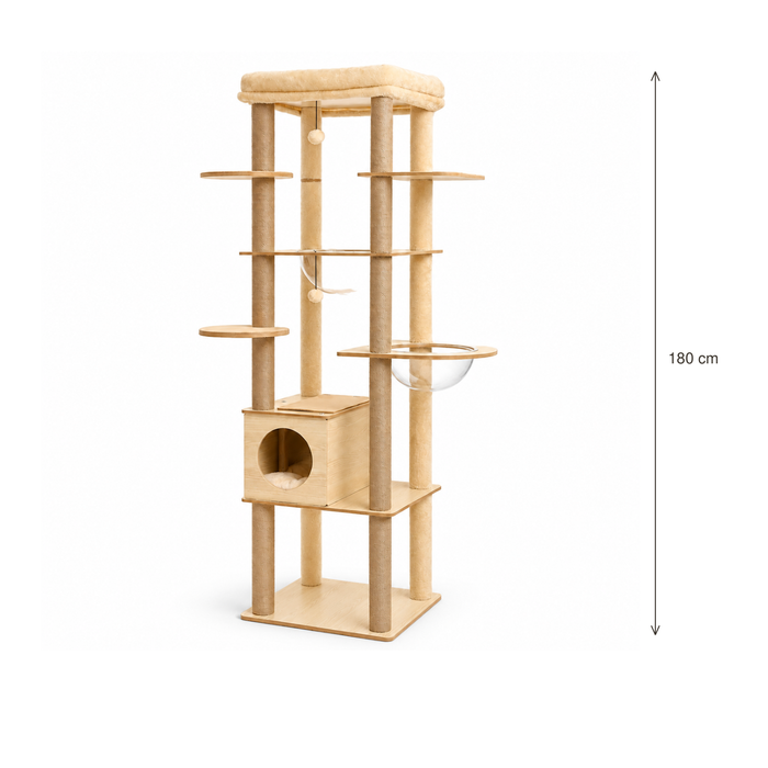 Neko Hayashi — hauteur 180 cm