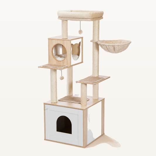Neko Hayashi AMT0201 beige 144 cm sur fond beige