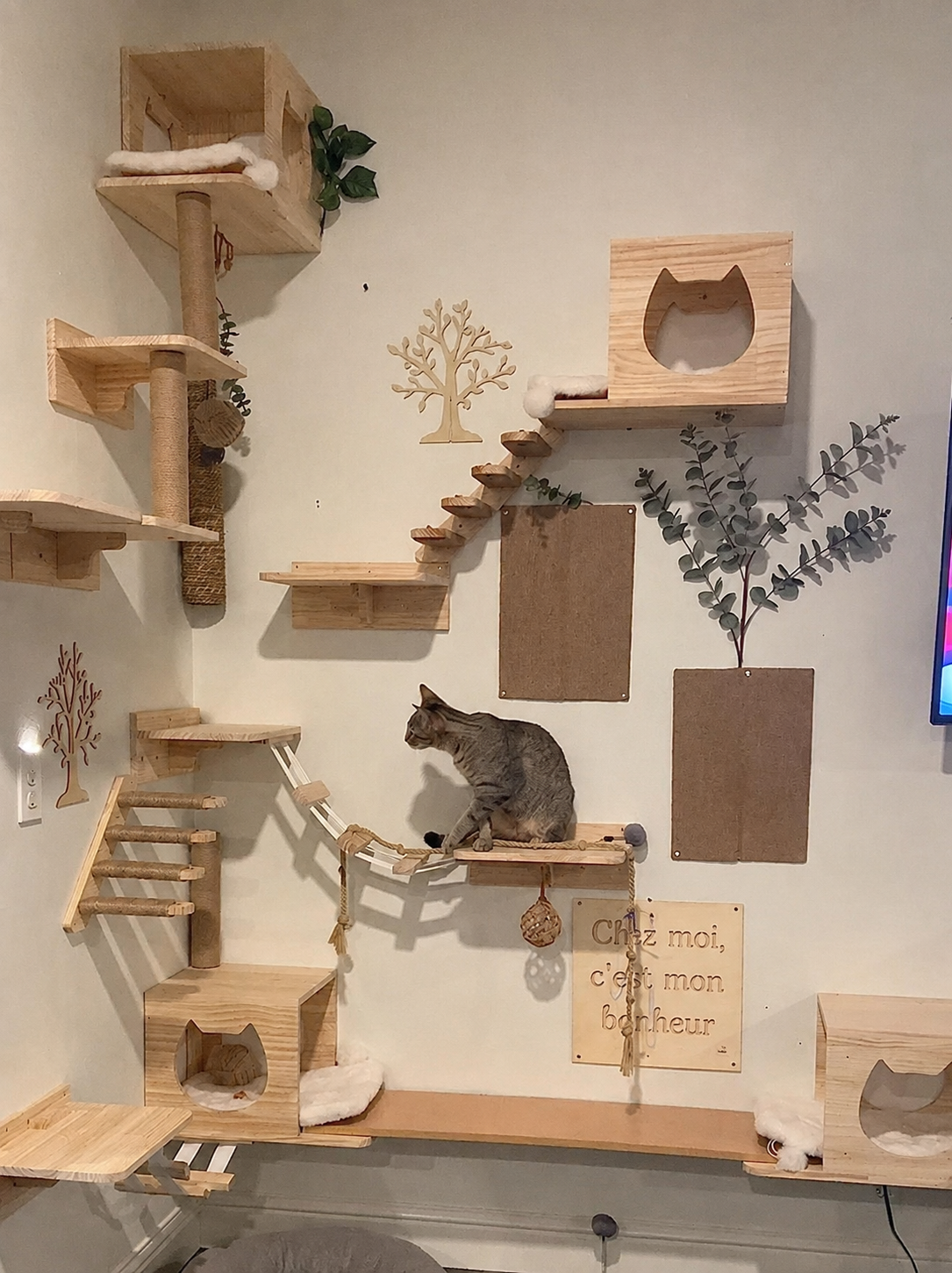 Neko Kabe – décoration murale en français
