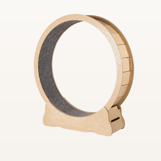 Neko Kuruma – roue d’exercice 132 cm sur fond beige