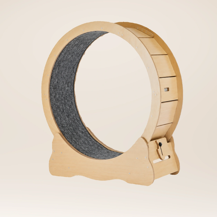 Neko Kuruma – roue d’exercice 91 cm sur fond beige