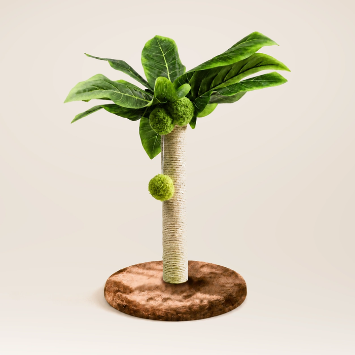 Neko Midori – Brun – 25 cm sur fond beige