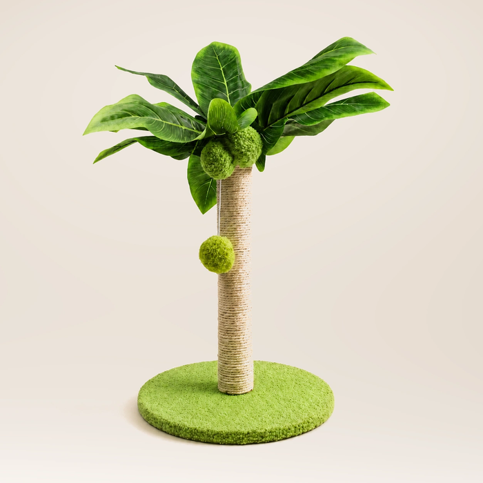 Neko Midori – Vert – 25 cm sur fond beige