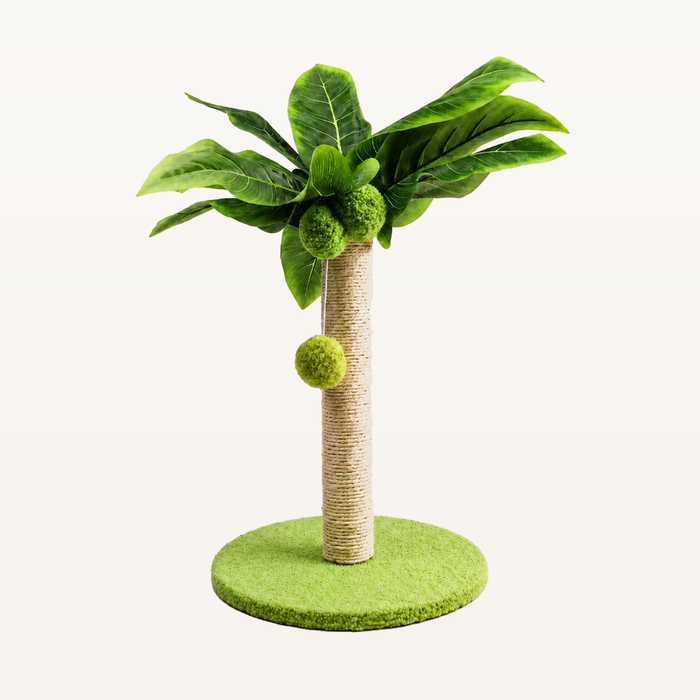 Neko Midori – Vert – 30 cm sur fond beige