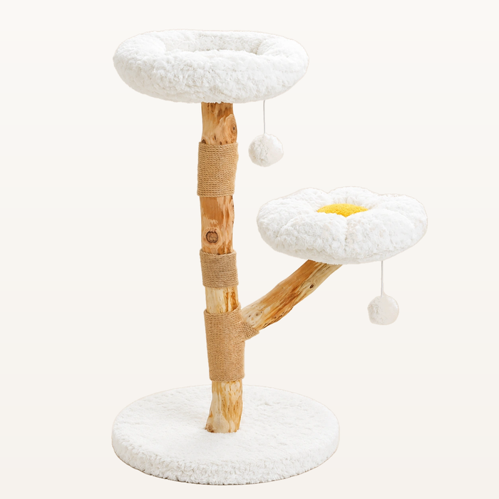 Neko Moku modèle 0306 beige