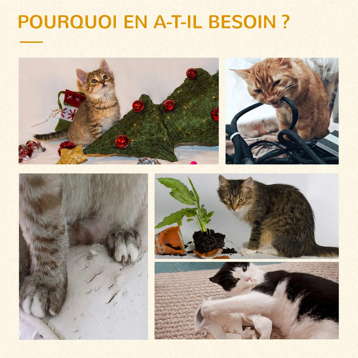 Nagi — visuel produit 7 en français