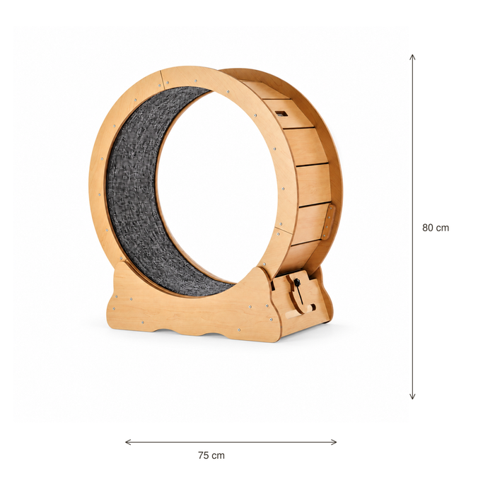 Neko Kuruma – Roue d’exercice pour chat – 75 cm — dimensions sur fond blanc