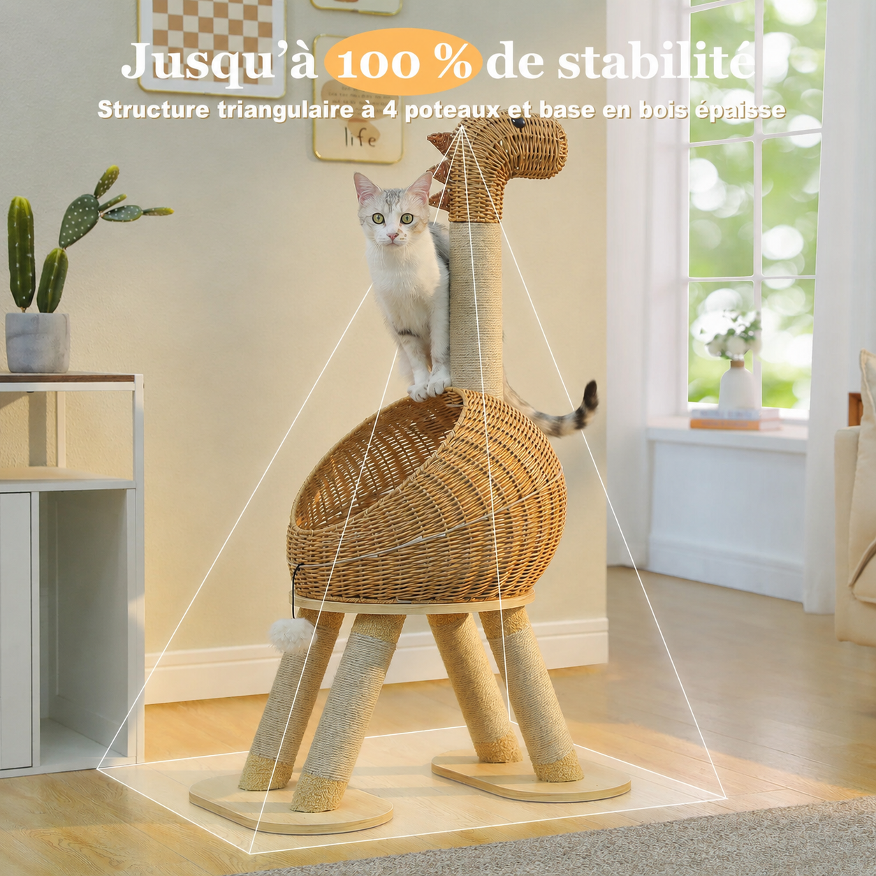 Ryu — visuel produit 3 en français