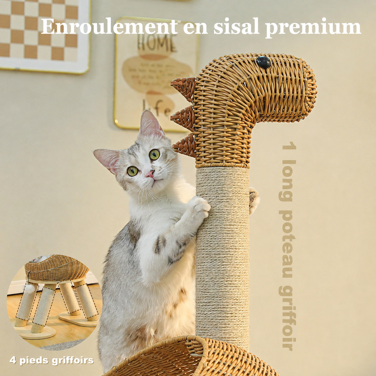 Ryu — visuel produit 4 en français
