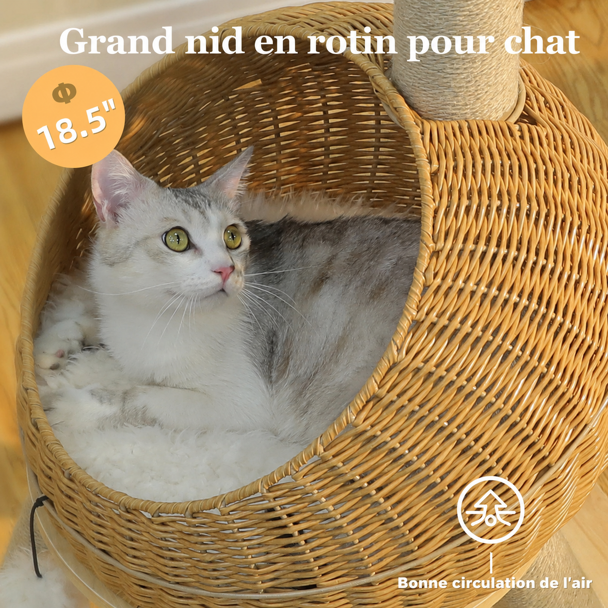 Ryu — visuel produit 5 en français