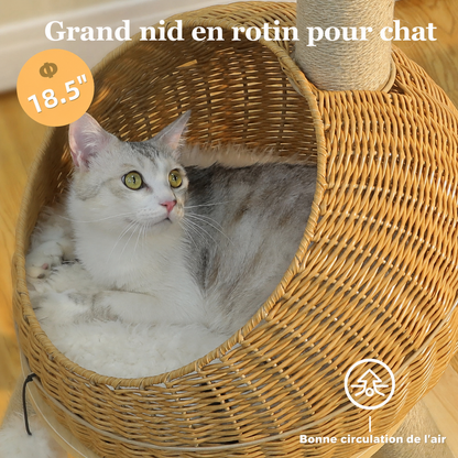 Ryu — visuel produit 5 en français