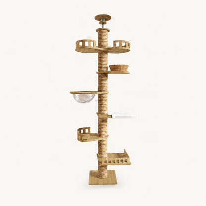 Neko Takai – Configuration 8 – fond beige sans chat