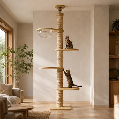 Neko Takai – Arbre à chat du sol au plafond 250–270 cm dans un intérieur coordonné avec chats