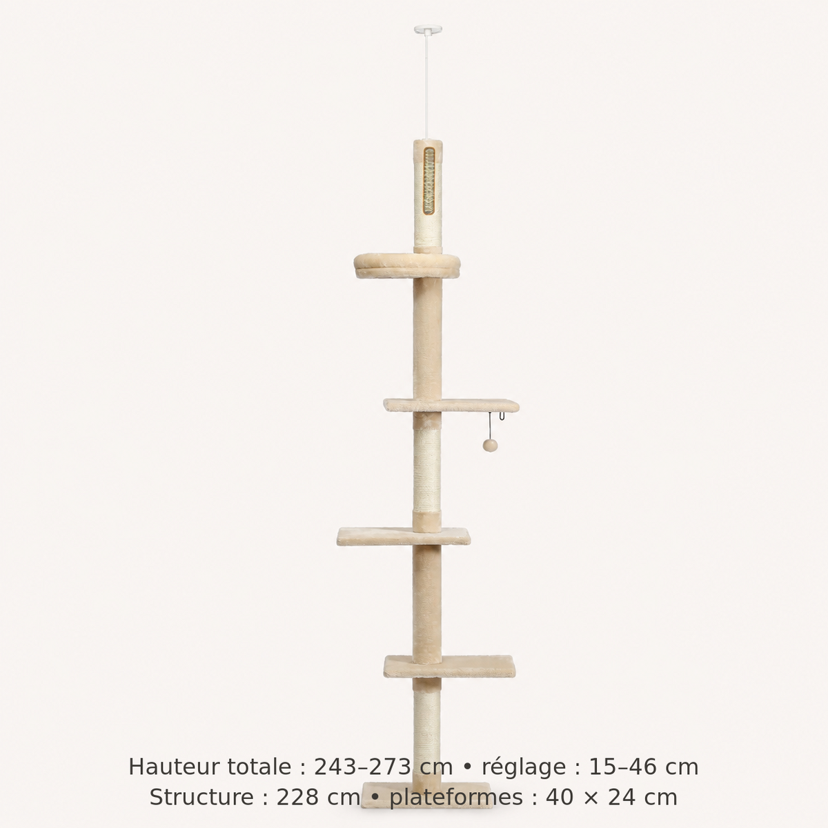 Neko Tenjo – Modèle A Beige – dimensions françaises sur fond beige