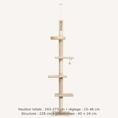 Neko Tenjo – Modèle A Beige – dimensions françaises sur fond beige