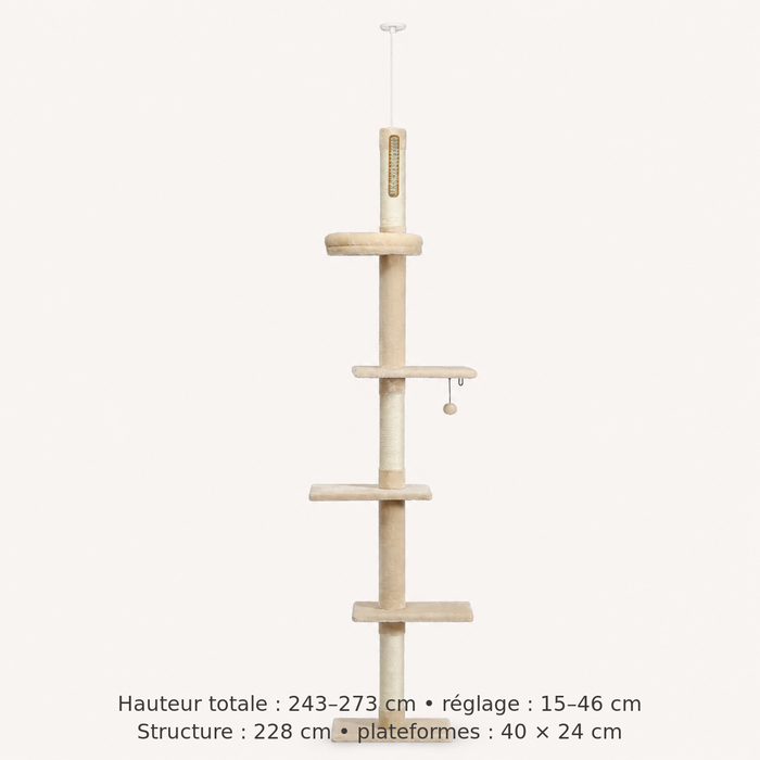 Neko Tenjo – Modèle A Beige – dimensions françaises sur fond beige