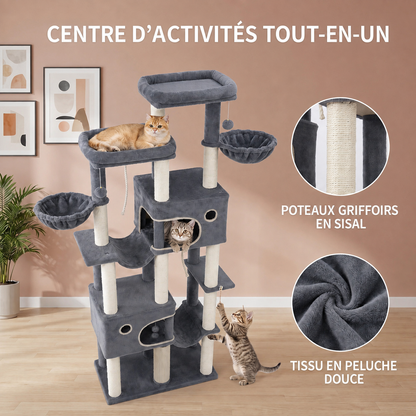 Tora — visuel produit 3 en français